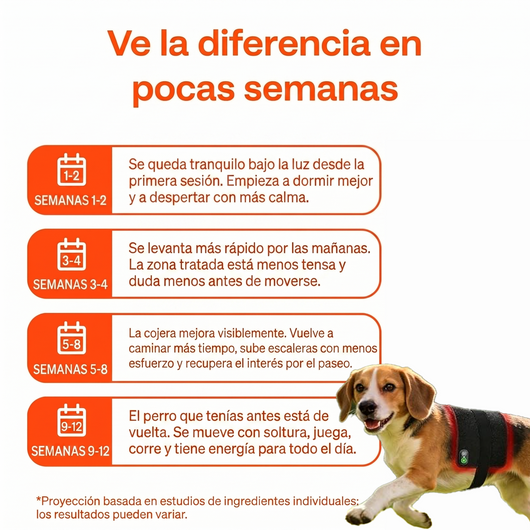 Luvitta Pet - "Cuida cada paso"