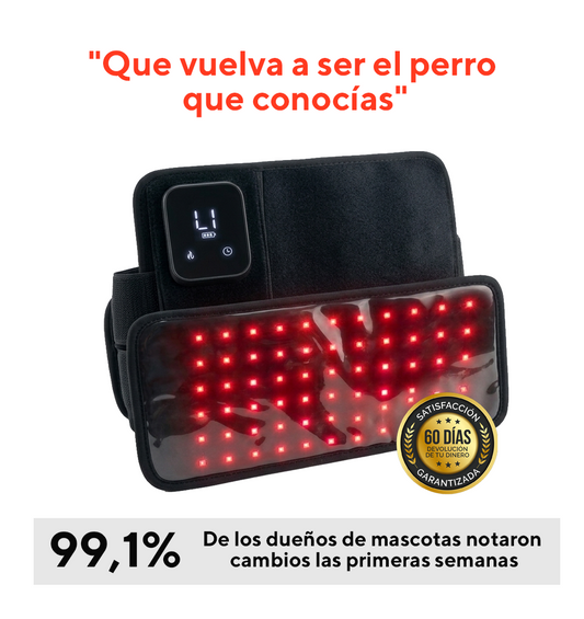 Luvitta Pet - Más movilidad y menos dolor en 4 semanas