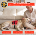 Luvitta Pet - Tratamiento Luz Led