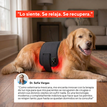 Luvitta Pet - Más movilidad y menos dolor en 4 semanas