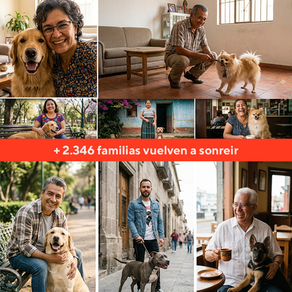 Luvitta Pet - Más movilidad y menos dolor en 4 semanas
