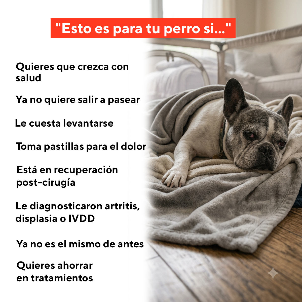 Luvitta Pet - Más movilidad y menos dolor en 4 semanas