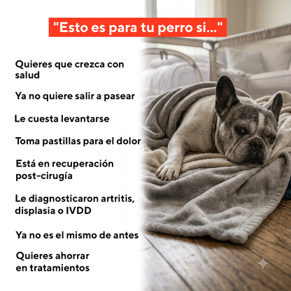 Luvitta Pet - Más movilidad y menos dolor en 4 semanas
