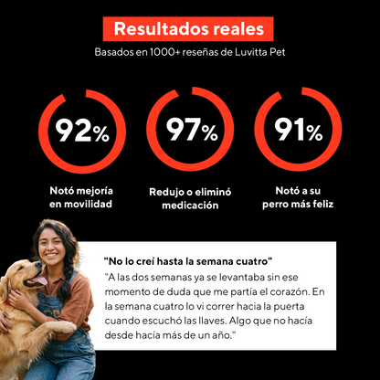 Luvitta Pet - Más movilidad y menos dolor en 4 semanas